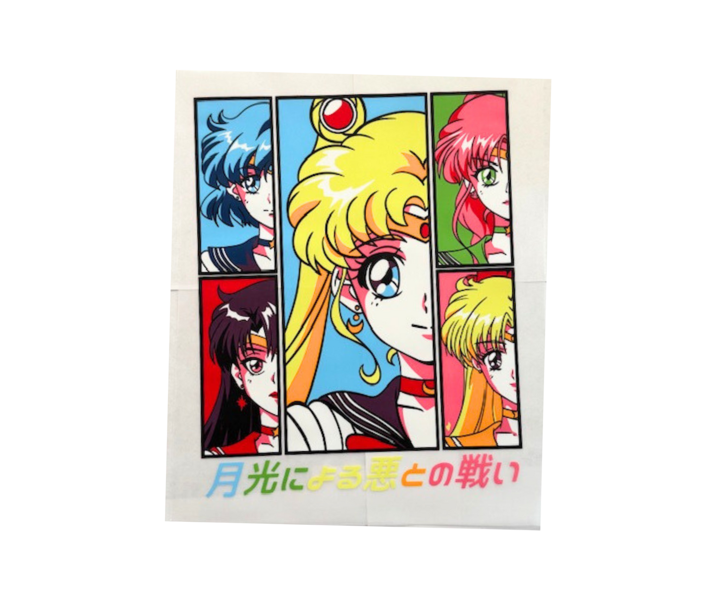 Sailor Moon and Friends