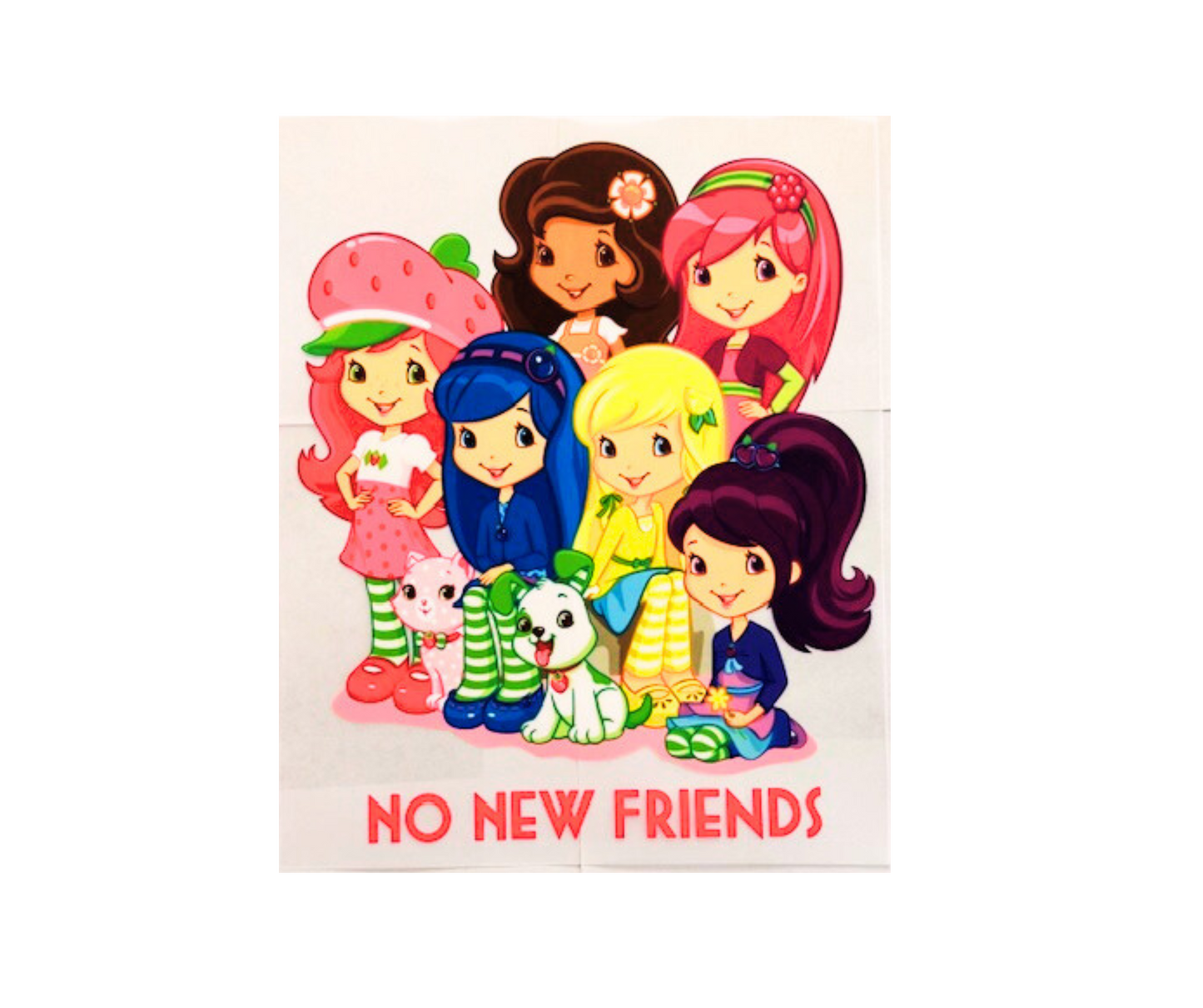 Starwberry Shortcake & Friends Tshirt