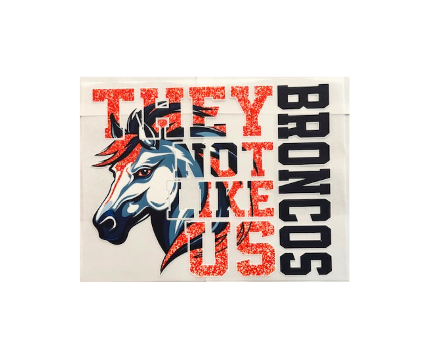 Denver Broncos "They Not Like Us"