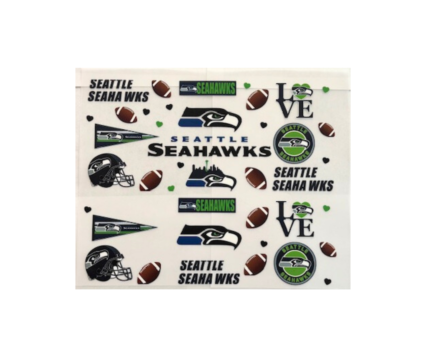 Seattle Seahawks Football Team